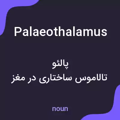 معنی palaeothalamus به فارسی معنی palaeothalamus به فارسی
