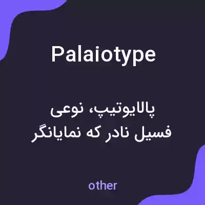 معنی palaiotype به فارسی معنی palaiotype به فارسی