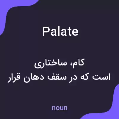 معنی palate به فارسی معنی palate به فارسی
