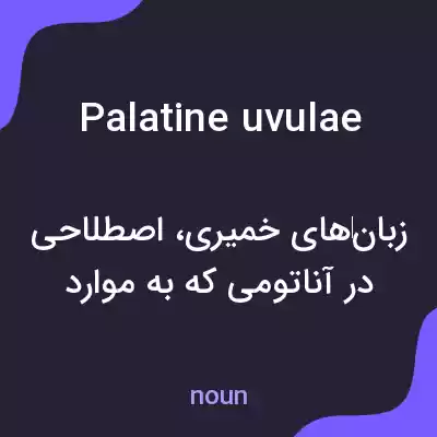 معنی palatine uvulae به فارسی معنی palatine uvulae به فارسی