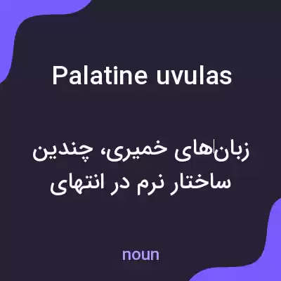 معنی palatine uvulas به فارسی