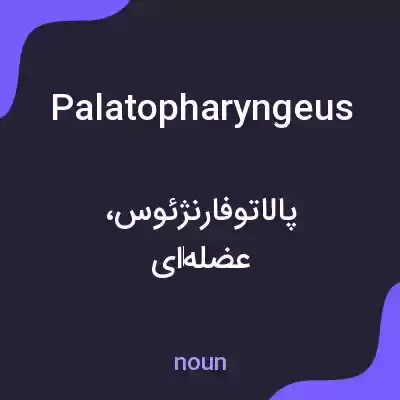 معنی palatopharyngeus به فارسی معنی palatopharyngeus به فارسی