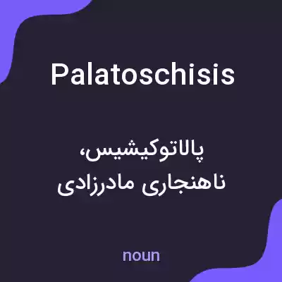 معنی palatoschisis به فارسی معنی palatoschisis به فارسی