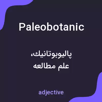 معنی paleobotanic به فارسی معنی paleobotanic به فارسی