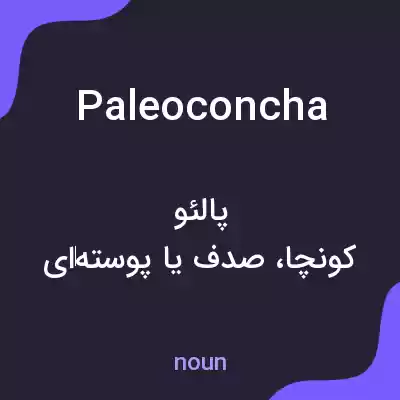 معنی paleoconcha به فارسی معنی paleoconcha به فارسی
