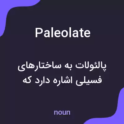معنی paleolate به فارسی معنی paleolate به فارسی