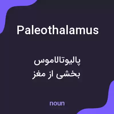 معنی paleothalamus به فارسی معنی paleothalamus به فارسی