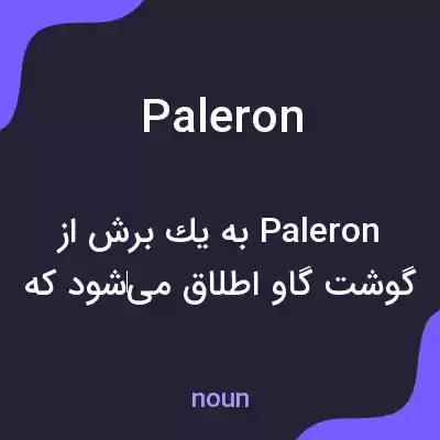 معنی paleron به فارسی معنی paleron به فارسی