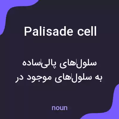 معنی palisade cell به فارسی معنی palisade cell به فارسی