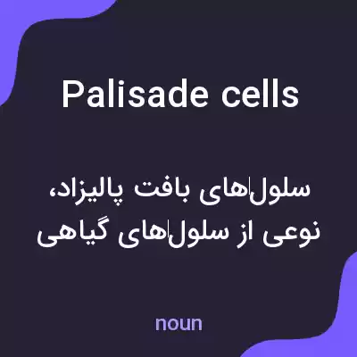 معنی palisade cells به فارسی معنی palisade cells به فارسی