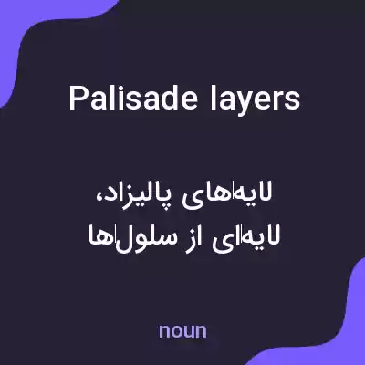 معنی palisade layers به فارسی