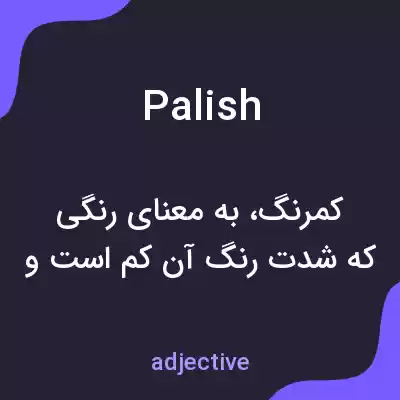 معنی palish به فارسی معنی palish به فارسی