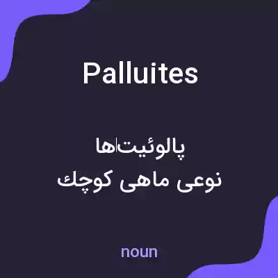 معنی palluites به فارسی معنی palluites به فارسی