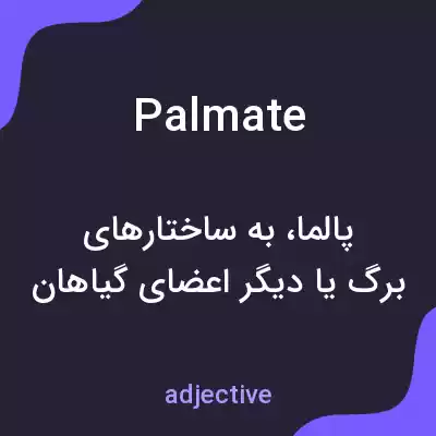 معنی palmate به فارسی معنی palmate به فارسی