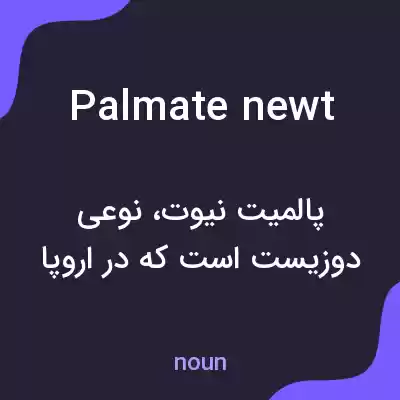 معنی palmate newt به فارسی معنی palmate newt به فارسی