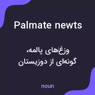 معنی palmate newts به فارسی معنی palmate newts به فارسی