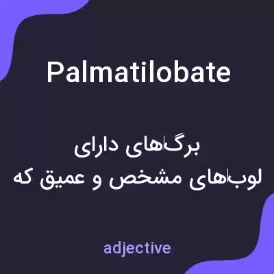 معنی palmatilobate به فارسی معنی palmatilobate به فارسی