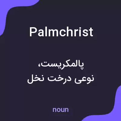 معنی palmchrist به فارسی معنی palmchrist به فارسی