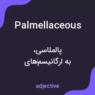 معنی palmellaceous به فارسی معنی palmellaceous به فارسی