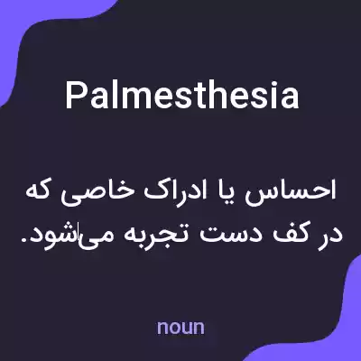 معنی palmesthesia به فارسی معنی palmesthesia به فارسی