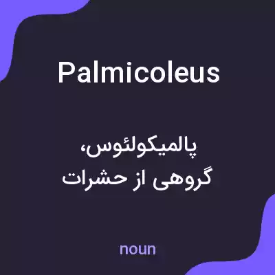 معنی palmicoleus به فارسی معنی palmicoleus به فارسی