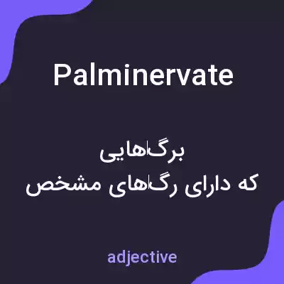 معنی palminervate به فارسی معنی palminervate به فارسی