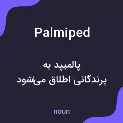 معنی palmiped به فارسی معنی palmiped به فارسی