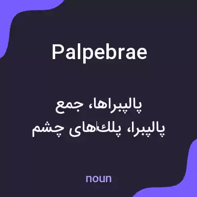 معنی palpebrae به فارسی معنی palpebrae به فارسی