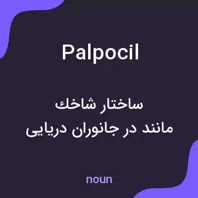 معنی palpocil به فارسی معنی palpocil به فارسی