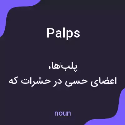 معنی palps به فارسی معنی palps به فارسی