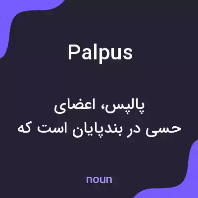 معنی palpus به فارسی معنی palpus به فارسی
