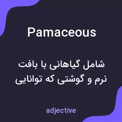 معنی pamaceous به فارسی معنی pamaceous به فارسی