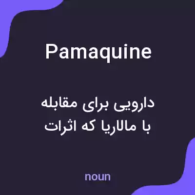 معنی pamaquine به فارسی معنی pamaquine به فارسی