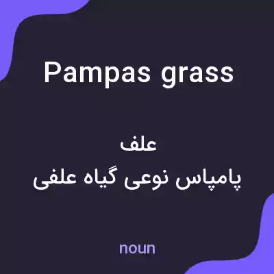 معنی pampas grass به فارسی معنی pampas grass به فارسی