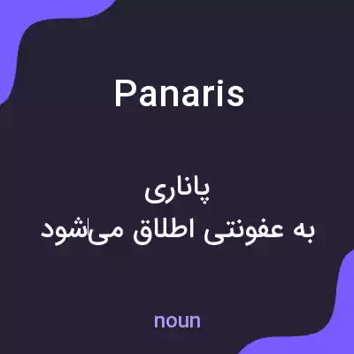 معنی panaris به فارسی معنی panaris به فارسی