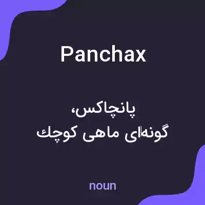 معنی panchax به فارسی معنی panchax به فارسی
