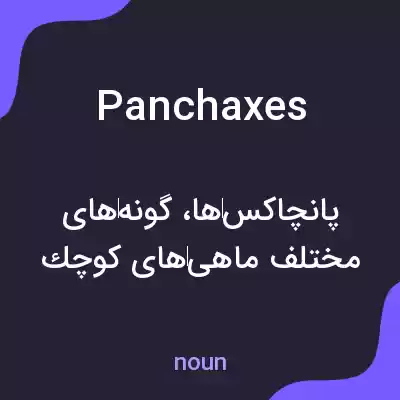 معنی panchaxes به فارسی معنی panchaxes به فارسی