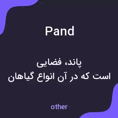 معنی pand به فارسی معنی pand به فارسی