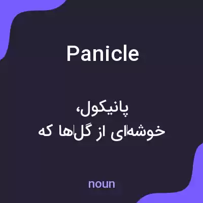 معنی panicle به فارسی معنی panicle به فارسی
