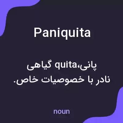 معنی paniquita به فارسی معنی paniquita به فارسی