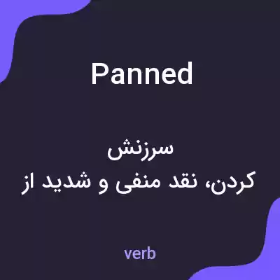 معنی panned به فارسی معنی panned به فارسی