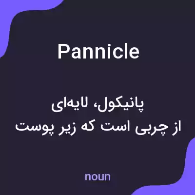 معنی pannicle به فارسی معنی pannicle به فارسی