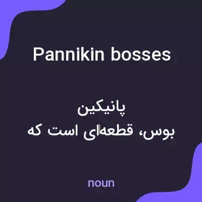معنی pannikin bosses به فارسی معنی pannikin bosses به فارسی