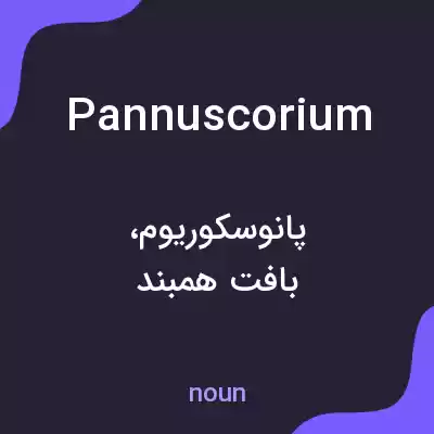 معنی pannuscorium به فارسی معنی pannuscorium به فارسی
