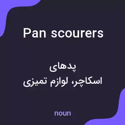 معنی pan scourers به فارسی معنی pan scourers به فارسی