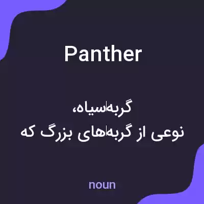 معنی panther به فارسی معنی panther به فارسی