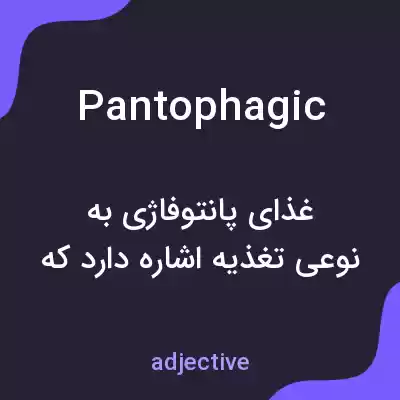 معنی pantophagic به فارسی معنی pantophagic به فارسی