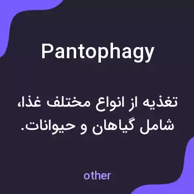 معنی pantophagy به فارسی معنی pantophagy به فارسی