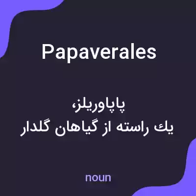 معنی papaverales به فارسی معنی papaverales به فارسی