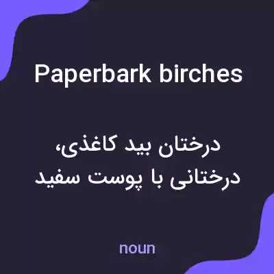معنی paperbark birches به فارسی معنی paperbark birches به فارسی